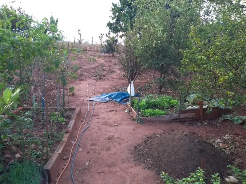Fazenda / Sítio / Chácara à venda — foto 1 de 3