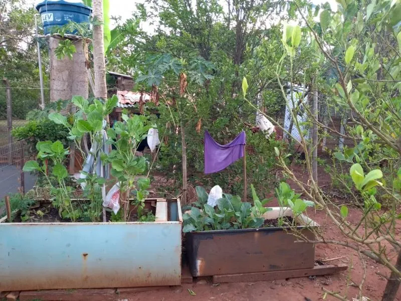 Fazenda / Sítio / Chácara à venda — foto 3 de 3