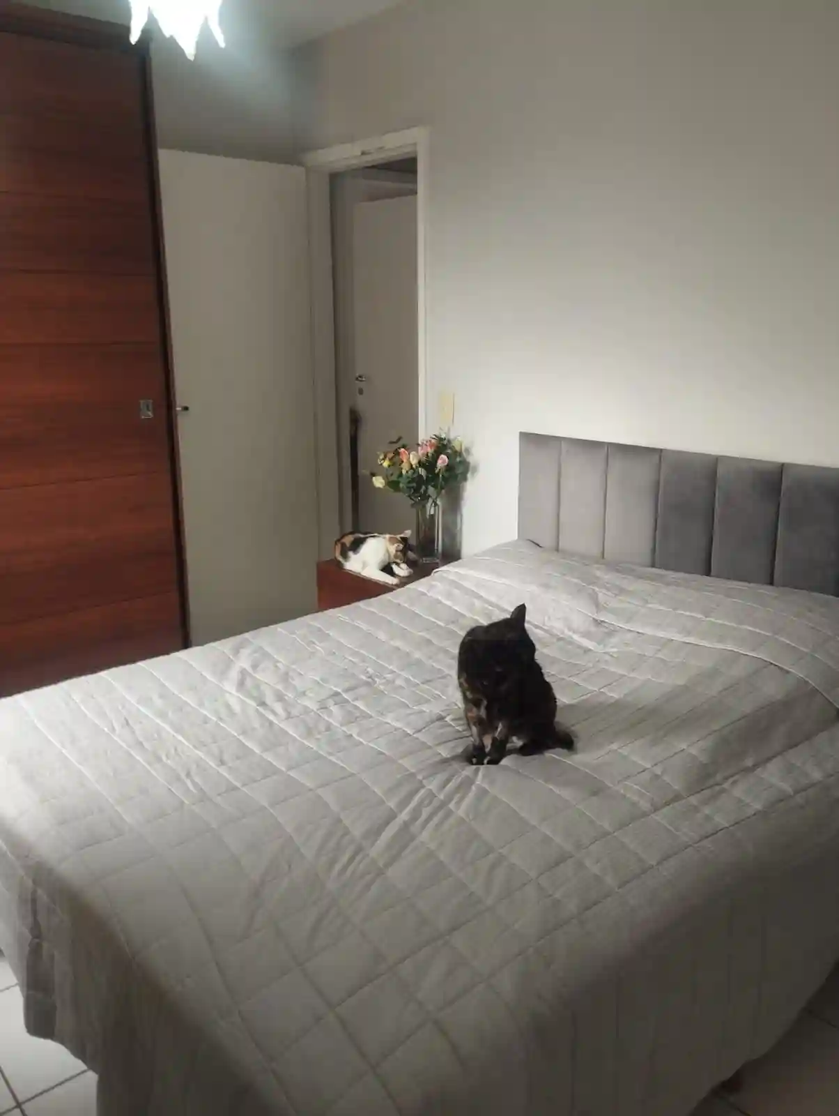 Apartamento com 2 quartos à venda, 70m² — foto 4 de 13