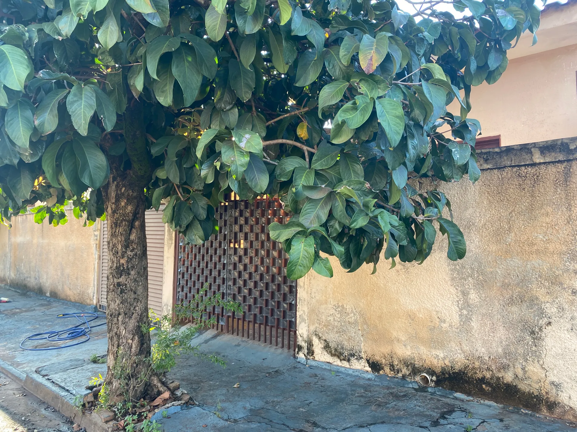 Casa com 1 quarto para aluguel, 50m² — foto 5 de 18