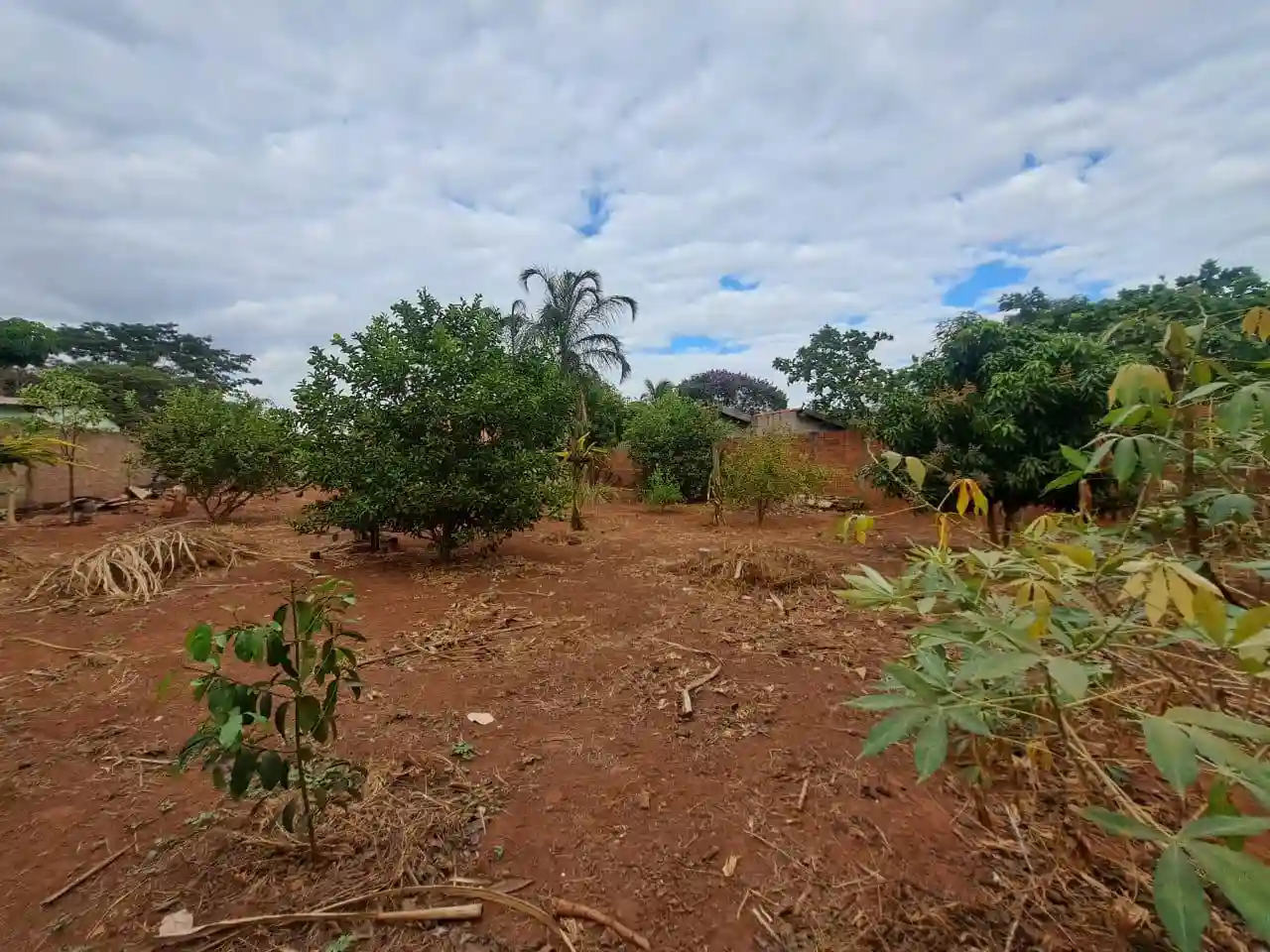 Fazenda / Sítio / Chácara com 2 quartos à venda, 1000m² — foto 16 de 18