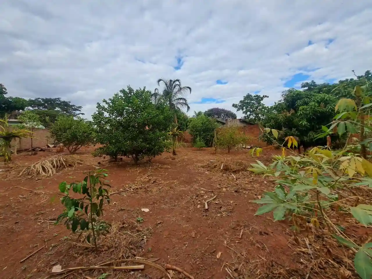 Fazenda / Sítio / Chácara com 2 quartos à venda, 1000m² — foto 14 de 18