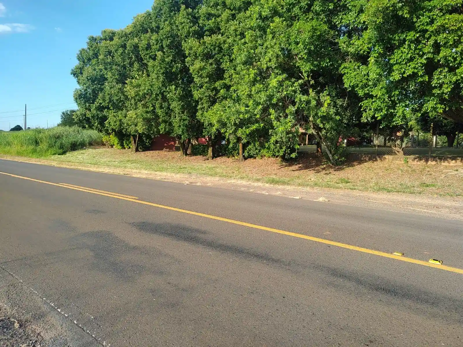 Fazenda / Sítio / Chácara com 3 quartos à venda, 1700m² — foto 6 de 9