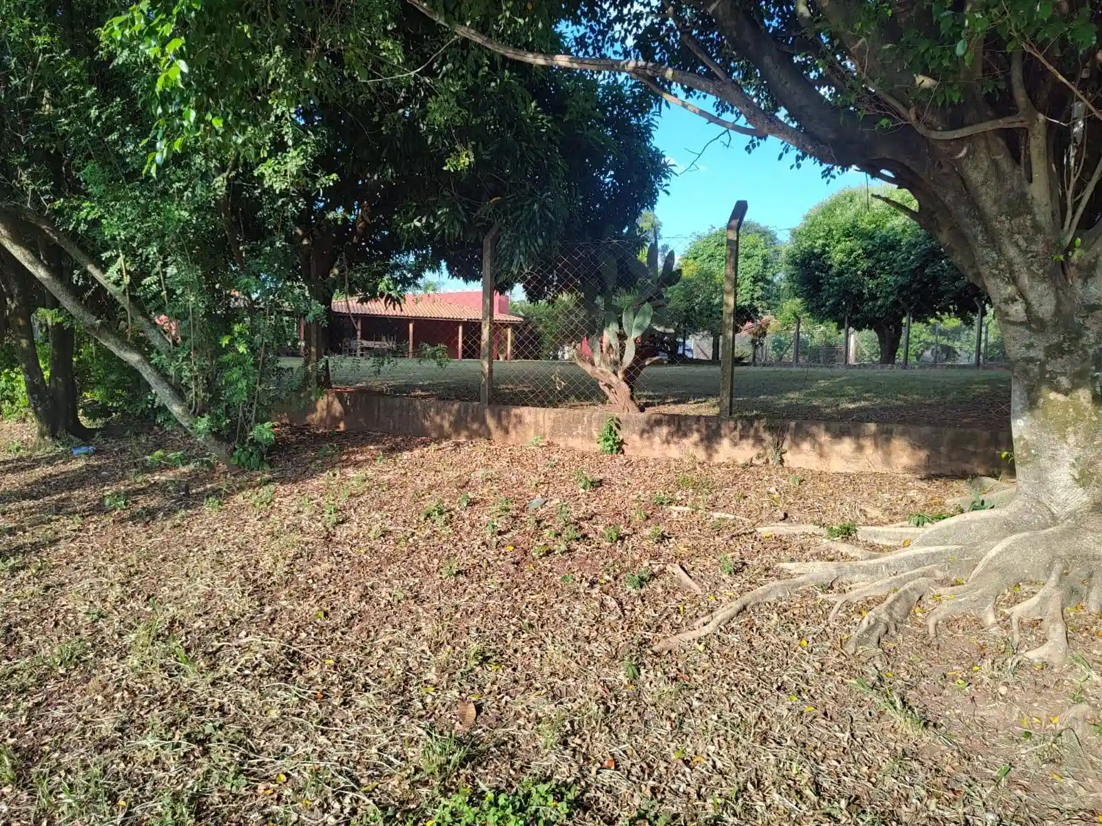 Fazenda / Sítio / Chácara com 3 quartos à venda, 1700m² — foto 9 de 9