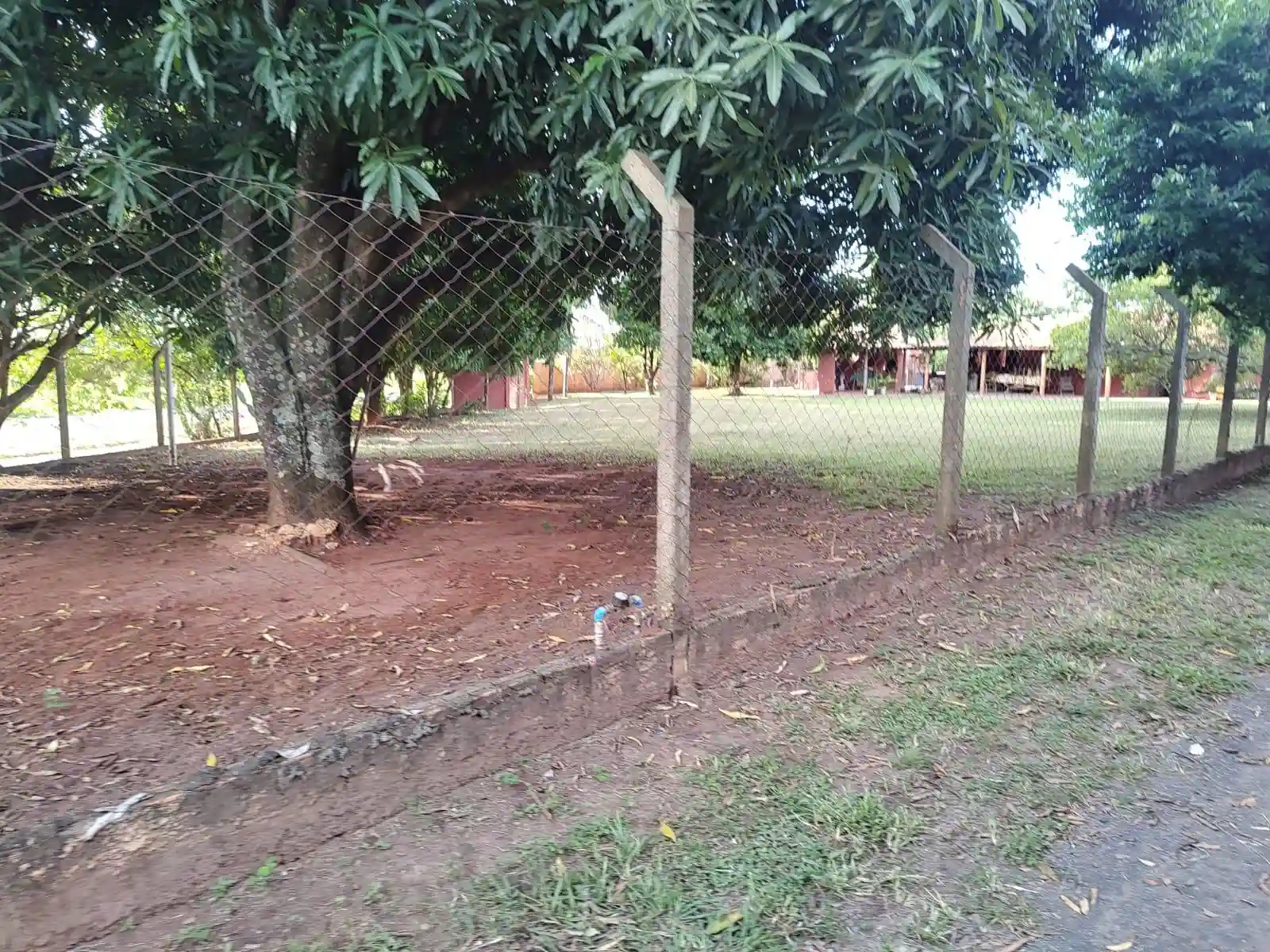Fazenda / Sítio / Chácara com 3 quartos à venda, 1700m² — foto 4 de 9