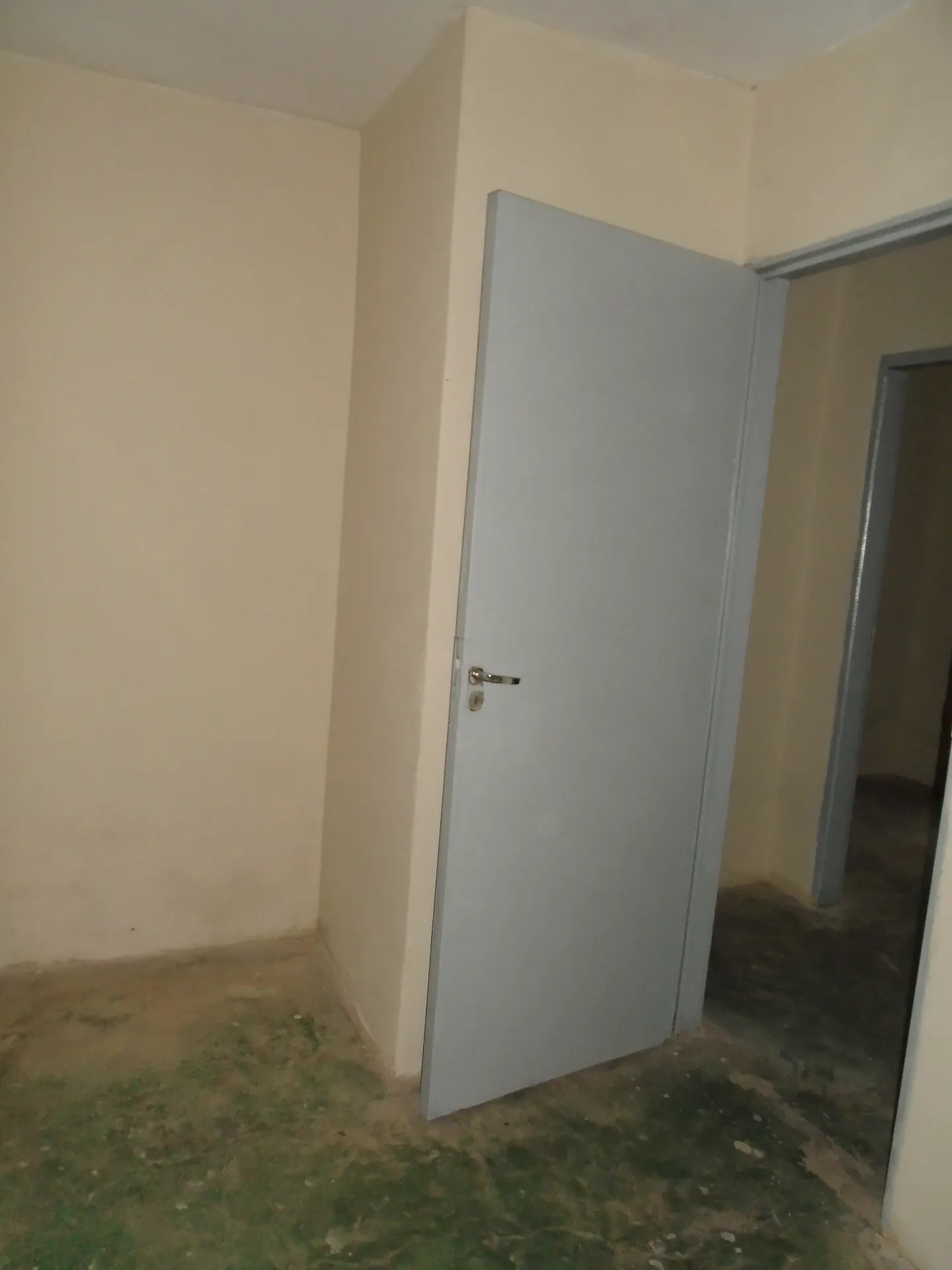 Casa com 2 quartos para aluguel, 45m² — foto 17 de 19