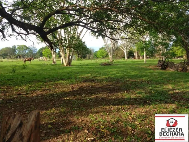 Fazenda / Sítio / Chácara à venda — foto 6 de 6