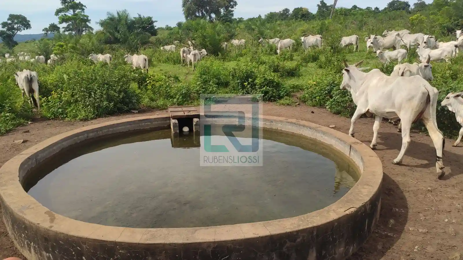 Fazenda / Sítio / Chácara  à venda, 12900000m² — foto 8 de 23