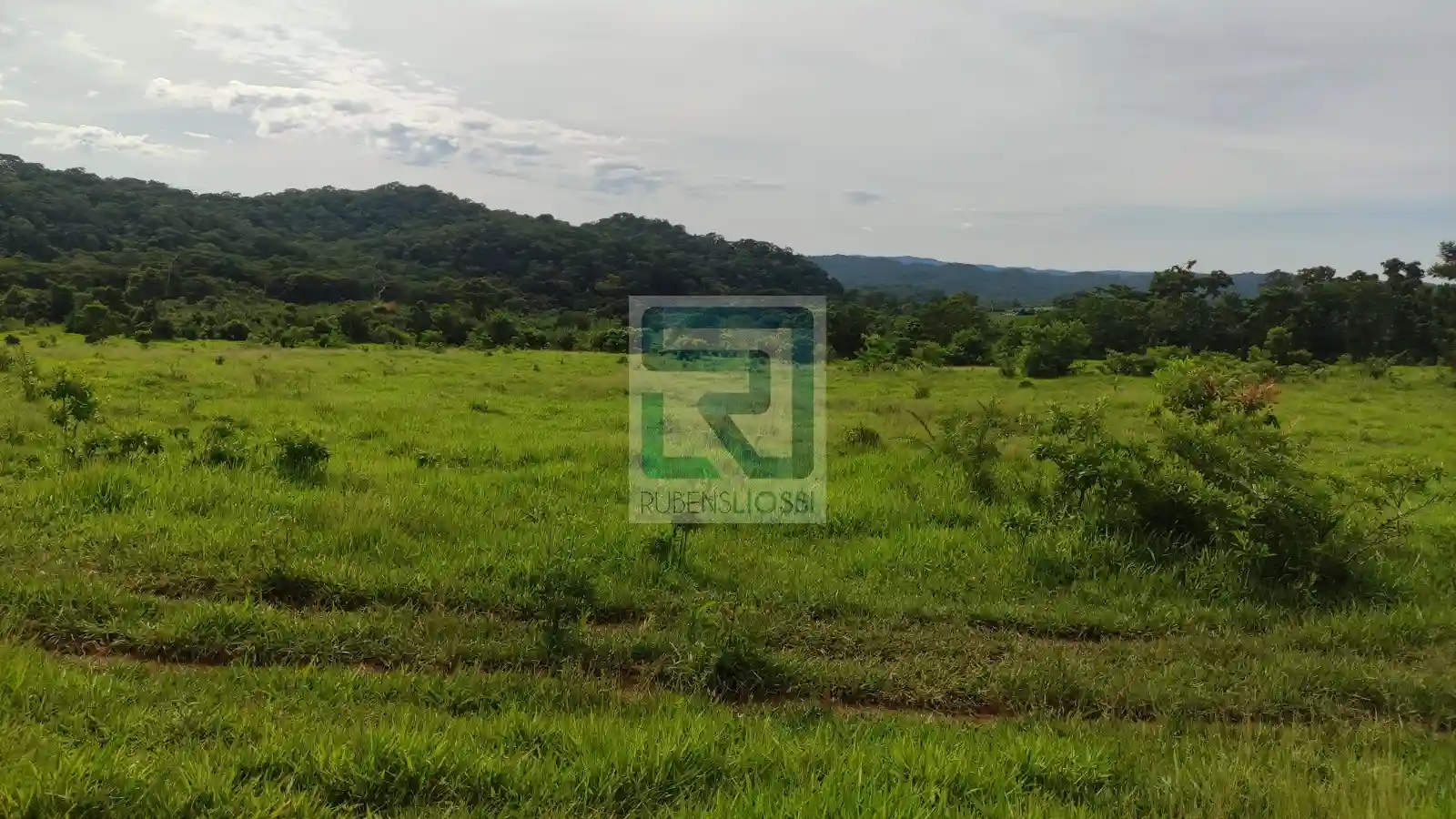 Fazenda / Sítio / Chácara  à venda, 12900000m² — foto 16 de 23