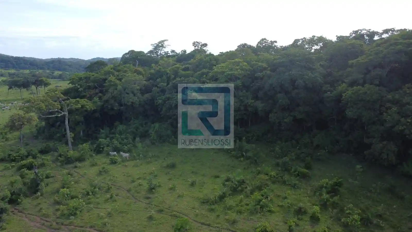 Fazenda / Sítio / Chácara  à venda, 12900000m² — foto 18 de 23