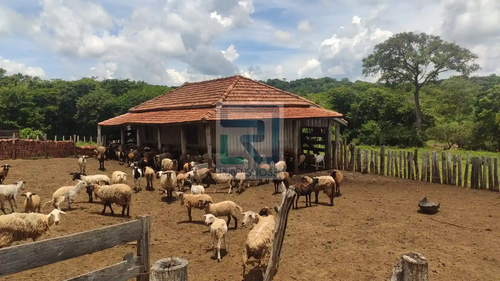 Fazenda / Sítio / Chácara  à venda, 12900000m² — foto 12 de 23