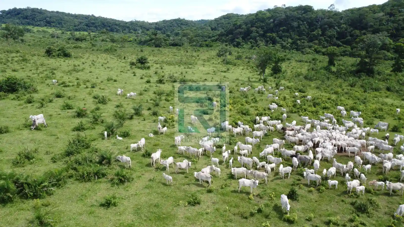 Fazenda / Sítio / Chácara  à venda, 12900000m² — foto 1 de 23