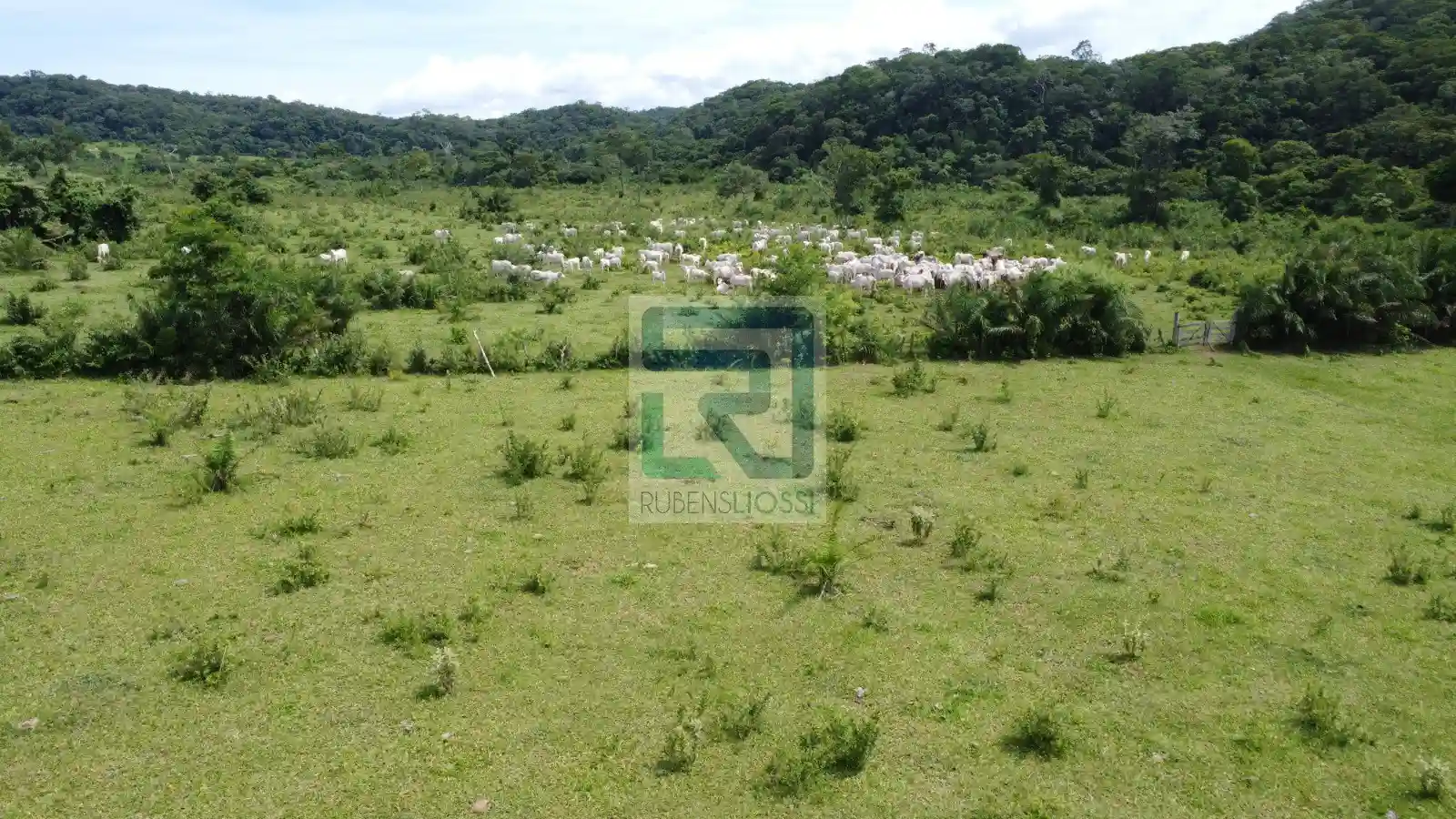 Fazenda / Sítio / Chácara  à venda, 12900000m² — foto 7 de 23