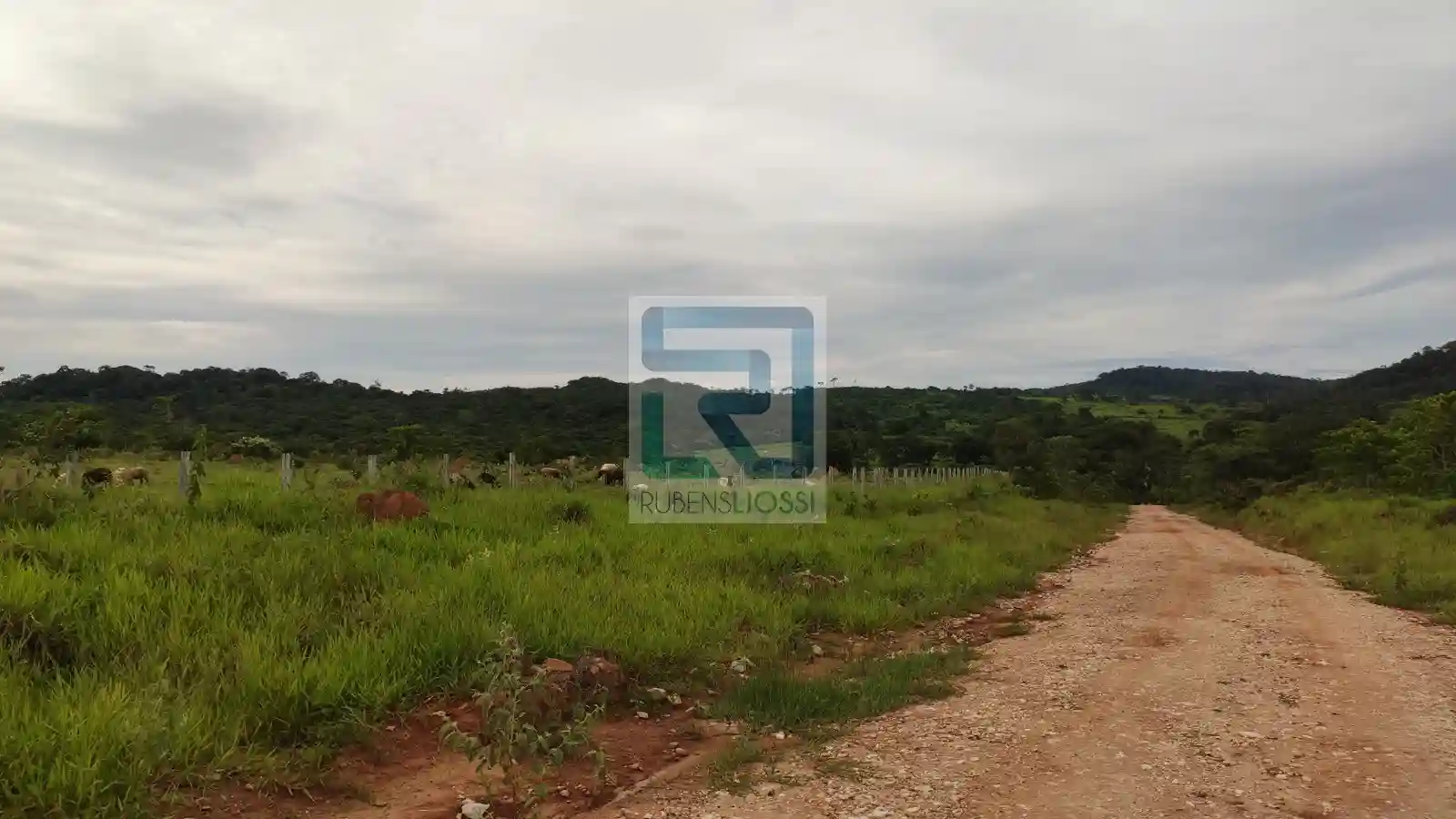Fazenda / Sítio / Chácara  à venda, 12900000m² — foto 17 de 23