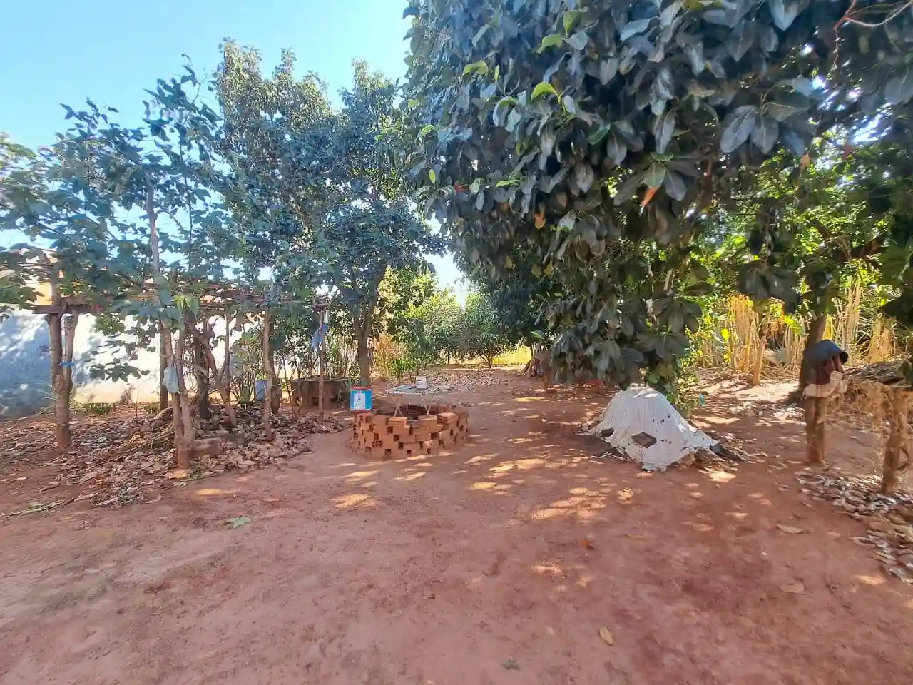Fazenda / Sítio / Chácara com 4 quartos à venda, 500m² — foto 14 de 18