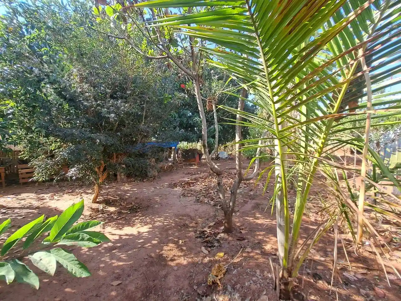 Fazenda / Sítio / Chácara com 4 quartos à venda, 500m² — foto 16 de 18