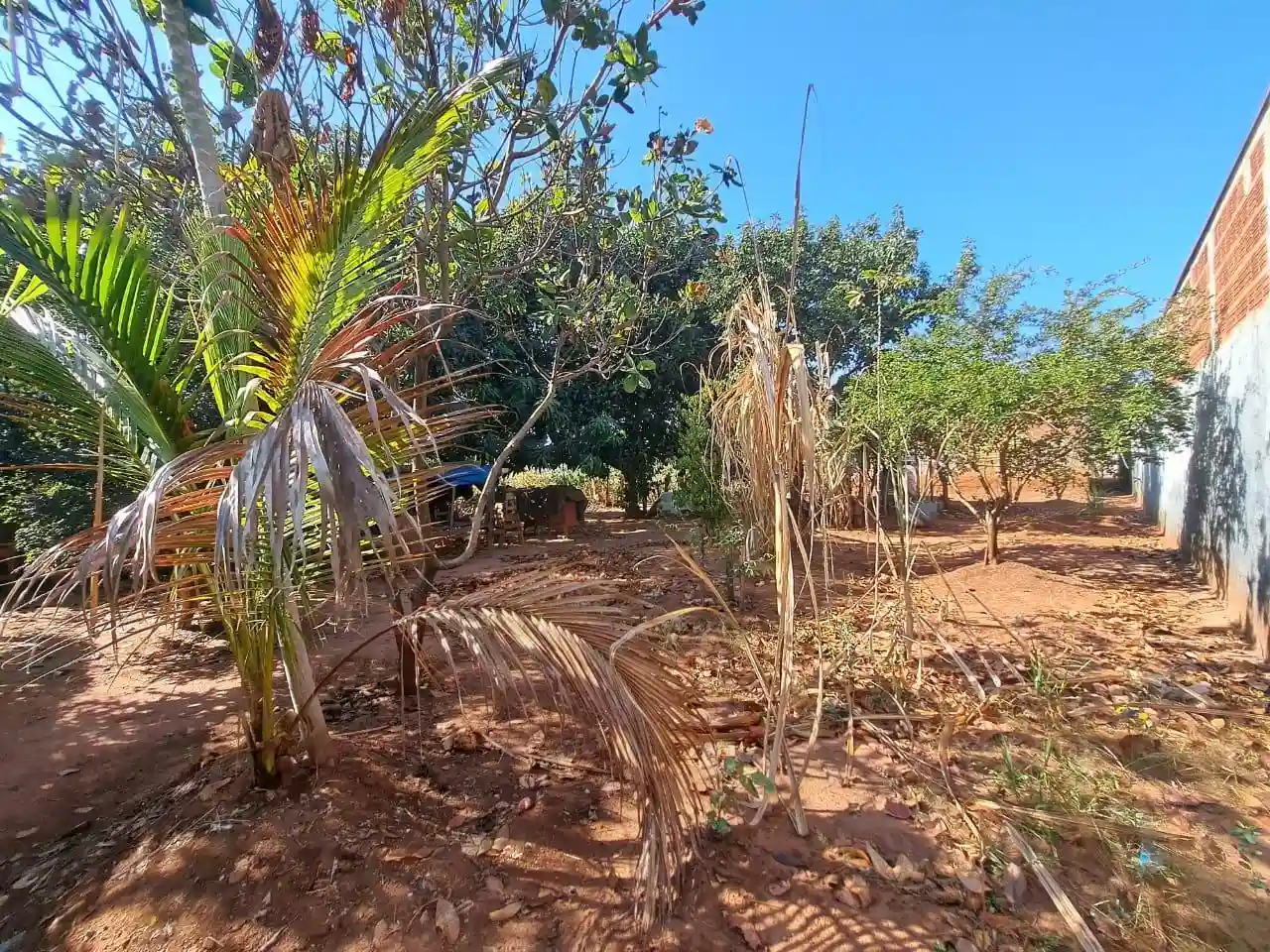 Fazenda / Sítio / Chácara com 4 quartos à venda, 500m² — foto 18 de 18