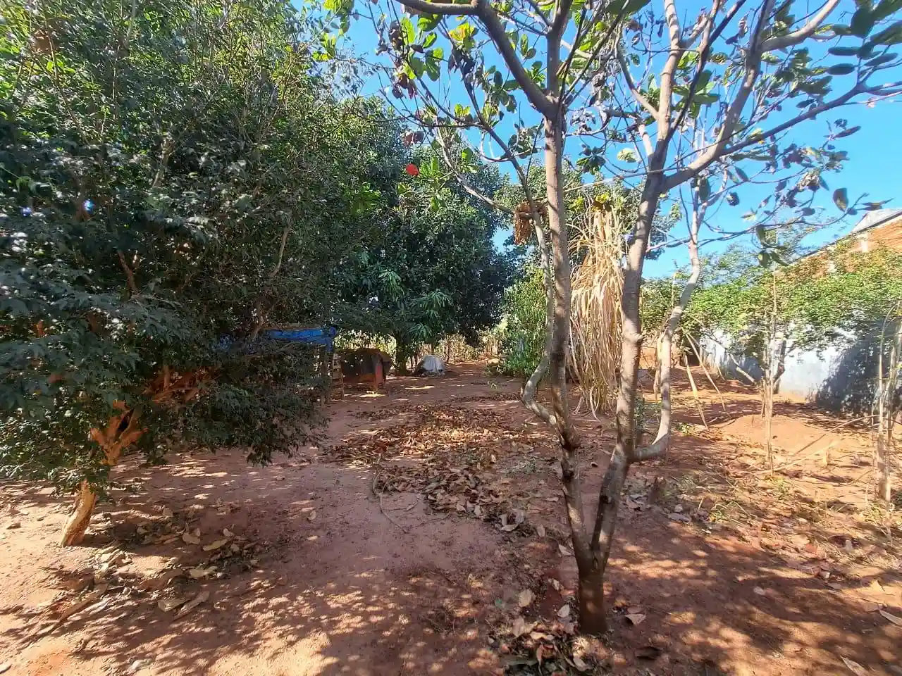 Fazenda / Sítio / Chácara com 4 quartos à venda, 500m² — foto 17 de 18