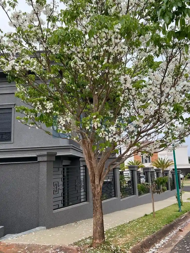 Casa de Condomínio com 5 quartos à venda, 521m² — foto 18 de 18