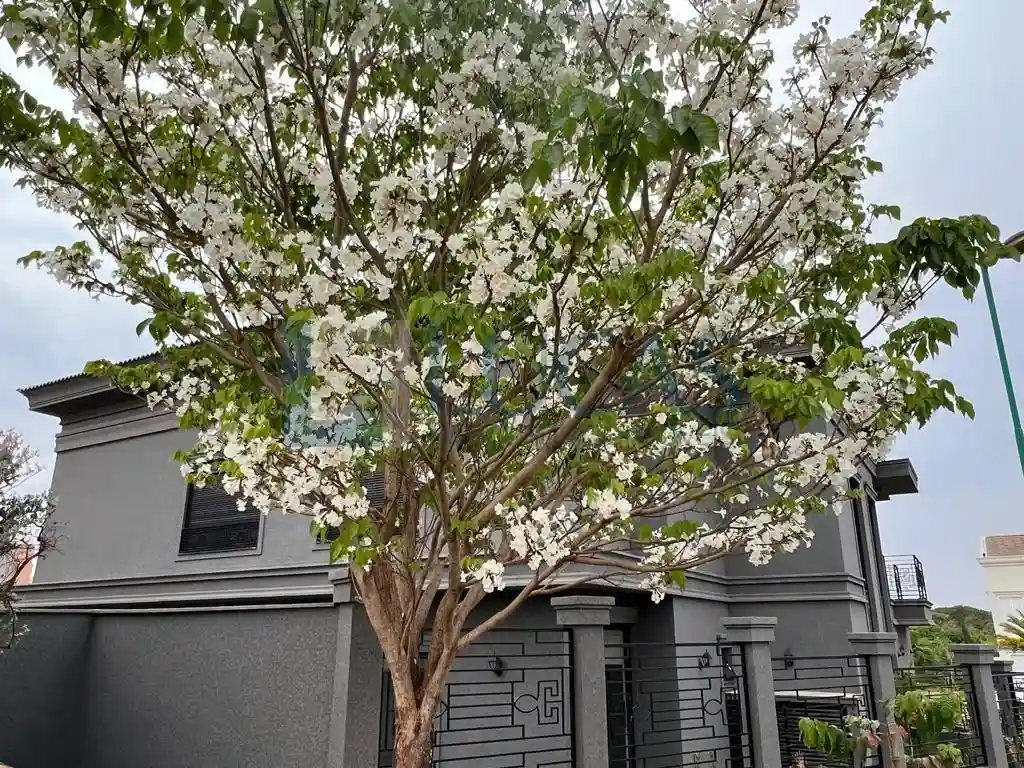 Casa de Condomínio com 5 quartos à venda, 521m² — foto 17 de 18