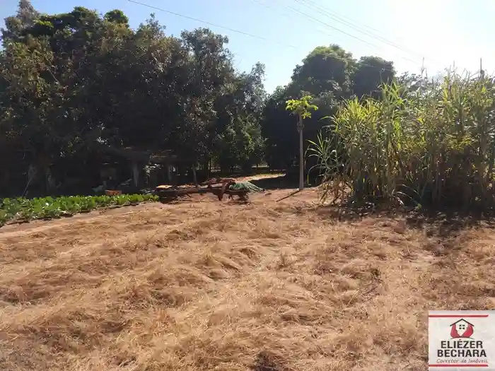 Fazenda / Sítio / Chácara com 3 quartos à venda, 8000m² — foto 7 de 28