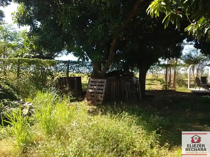 Fazenda / Sítio / Chácara com 3 quartos à venda, 8000m² — foto 27 de 28