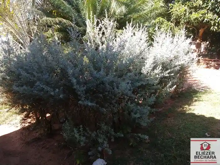 Fazenda / Sítio / Chácara com 3 quartos à venda, 8000m² — foto 22 de 28