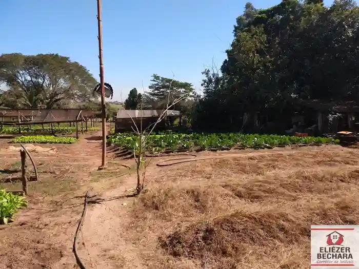 Fazenda / Sítio / Chácara com 3 quartos à venda, 8000m² — foto 6 de 28