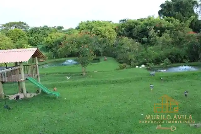 Fazenda / Sítio / Chácara com 3 quartos à venda, 7000m² — foto 8 de 8
