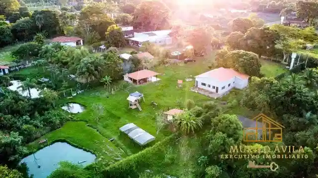 Fazenda / Sítio / Chácara com 3 quartos à venda, 7000m² — foto 2 de 8