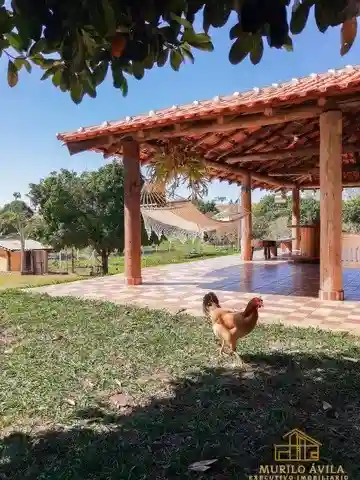 Fazenda / Sítio / Chácara com 3 quartos à venda, 7000m² — foto 4 de 8