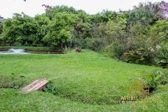 Fazenda / Sítio / Chácara com 3 quartos à venda, 7000m² — foto 6 de 8