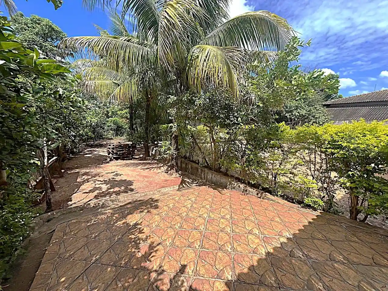 Fazenda / Sítio / Chácara com 3 quartos à venda, 900m² — foto 19 de 25