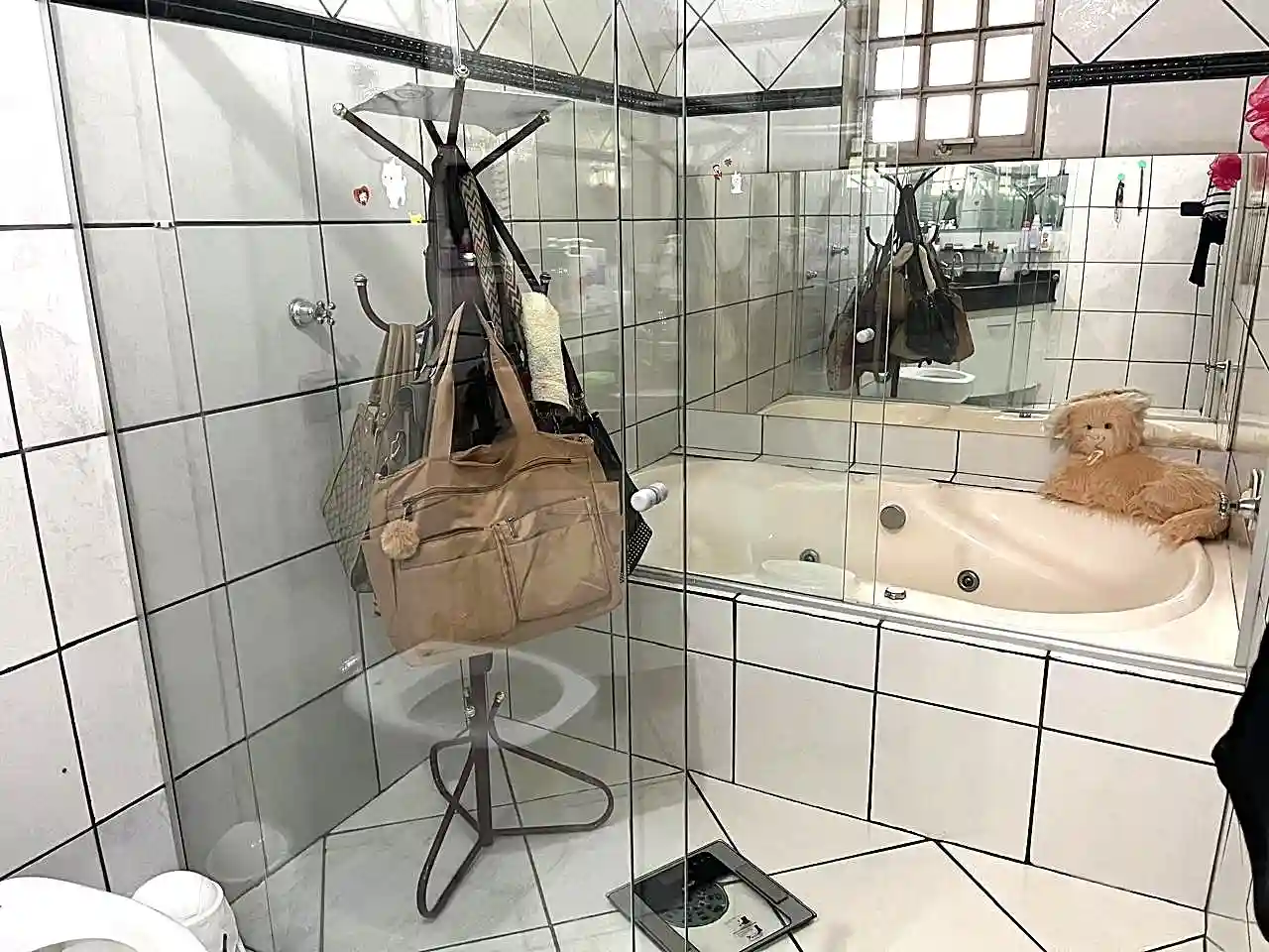 Fazenda / Sítio / Chácara com 3 quartos à venda, 900m² — foto 10 de 25