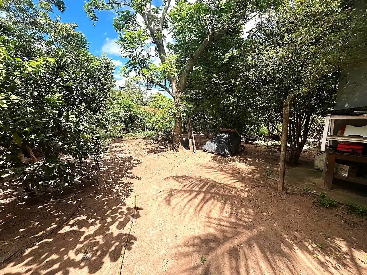 Fazenda / Sítio / Chácara com 3 quartos à venda, 900m² — foto 15 de 25