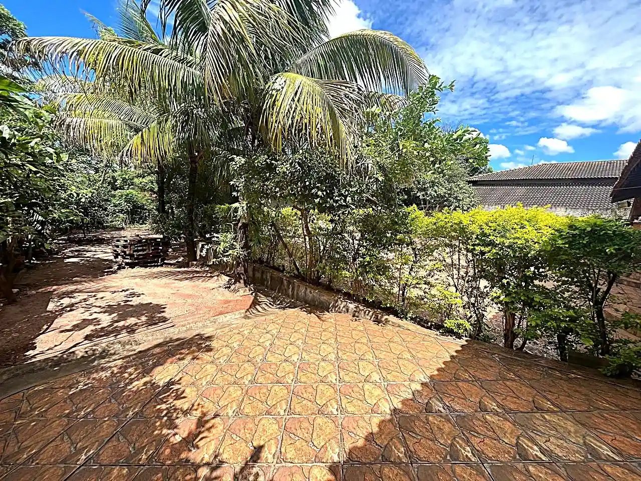 Fazenda / Sítio / Chácara com 3 quartos à venda, 900m² — foto 18 de 25