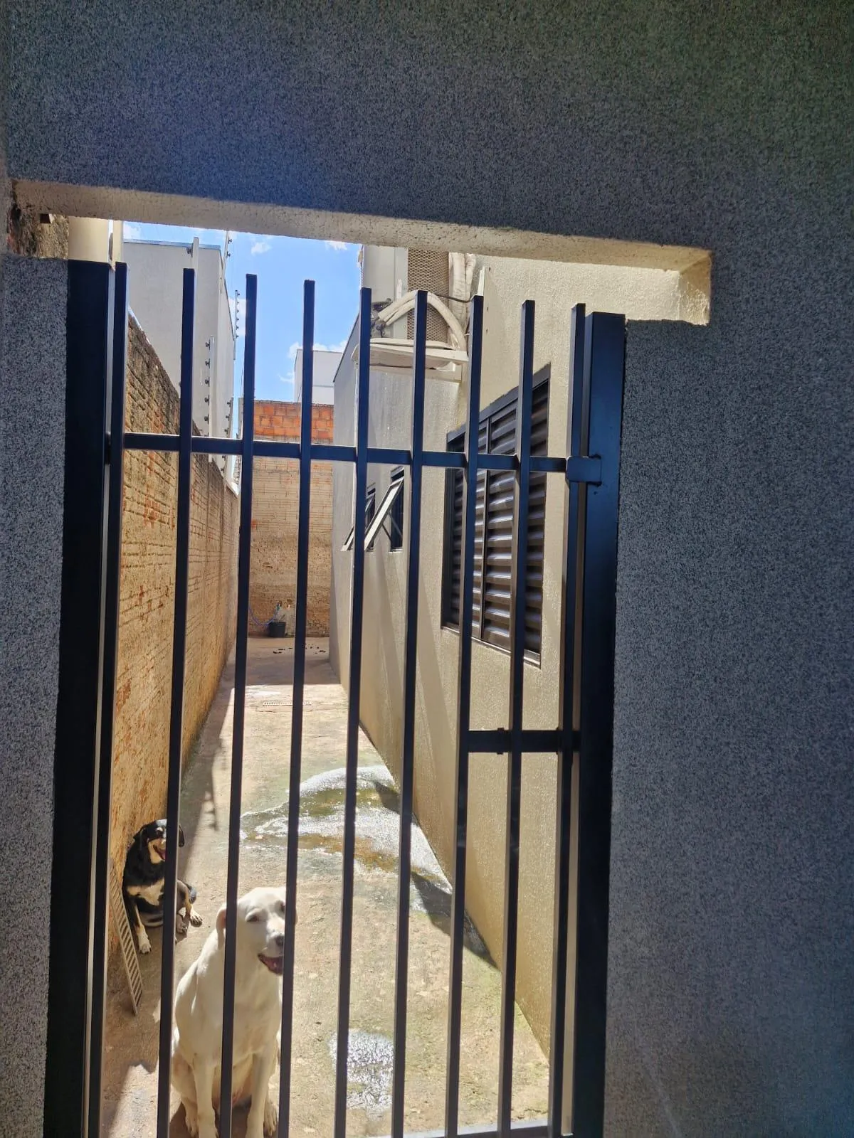 Casa com 3 quartos à venda, 120m² — foto 6 de 25