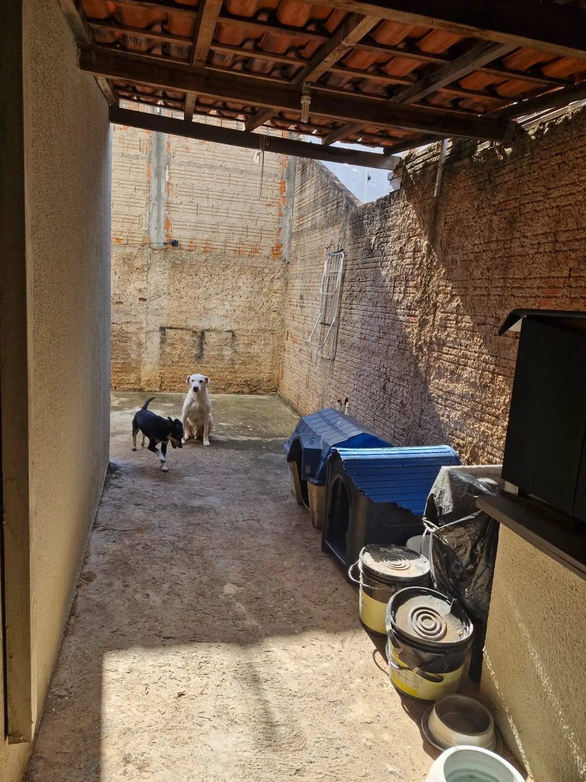 Casa com 3 quartos à venda, 120m² — foto 22 de 25
