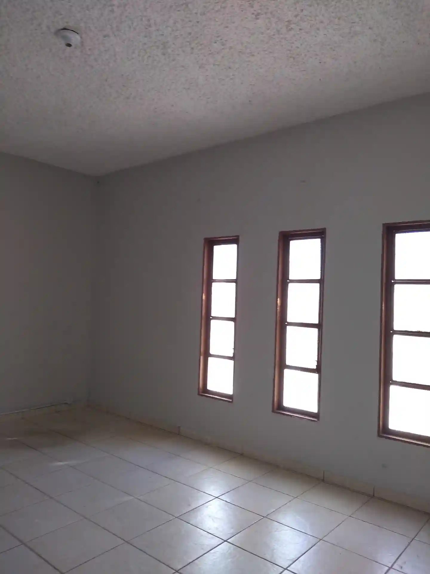 Casa Comercial com 1 quarto para aluguel, 80m² — foto 6 de 24