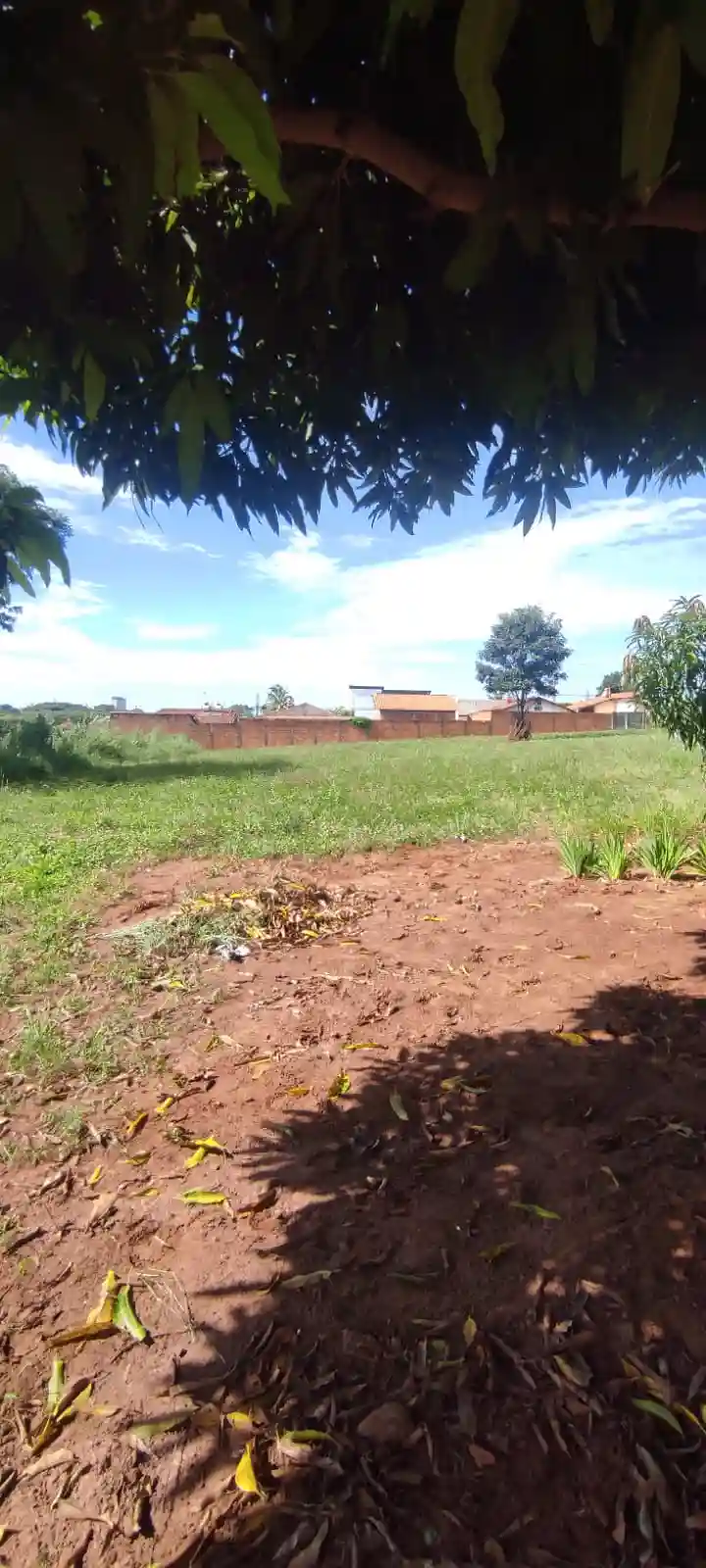 Fazenda / Sítio / Chácara com 1 quarto à venda, 3360m² — foto 3 de 11