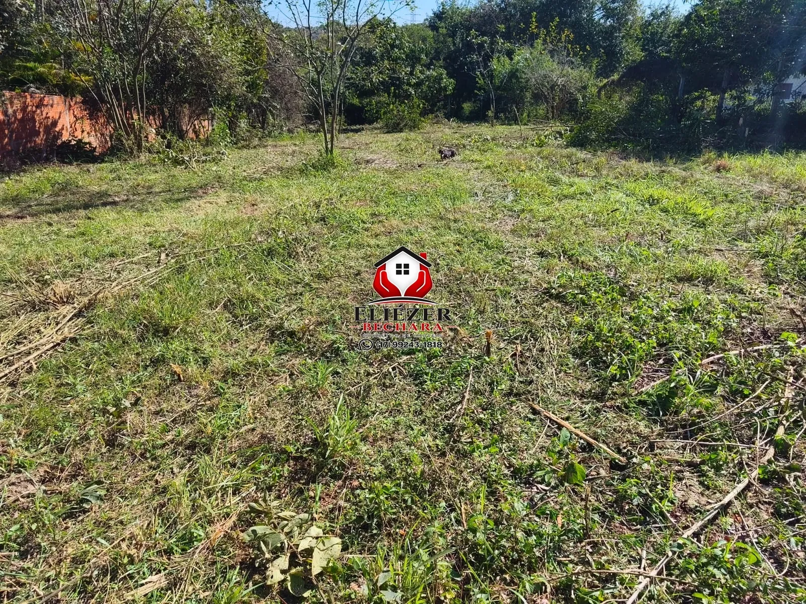 Fazenda / Sítio / Chácara à venda, 1500m² — foto 4 de 5