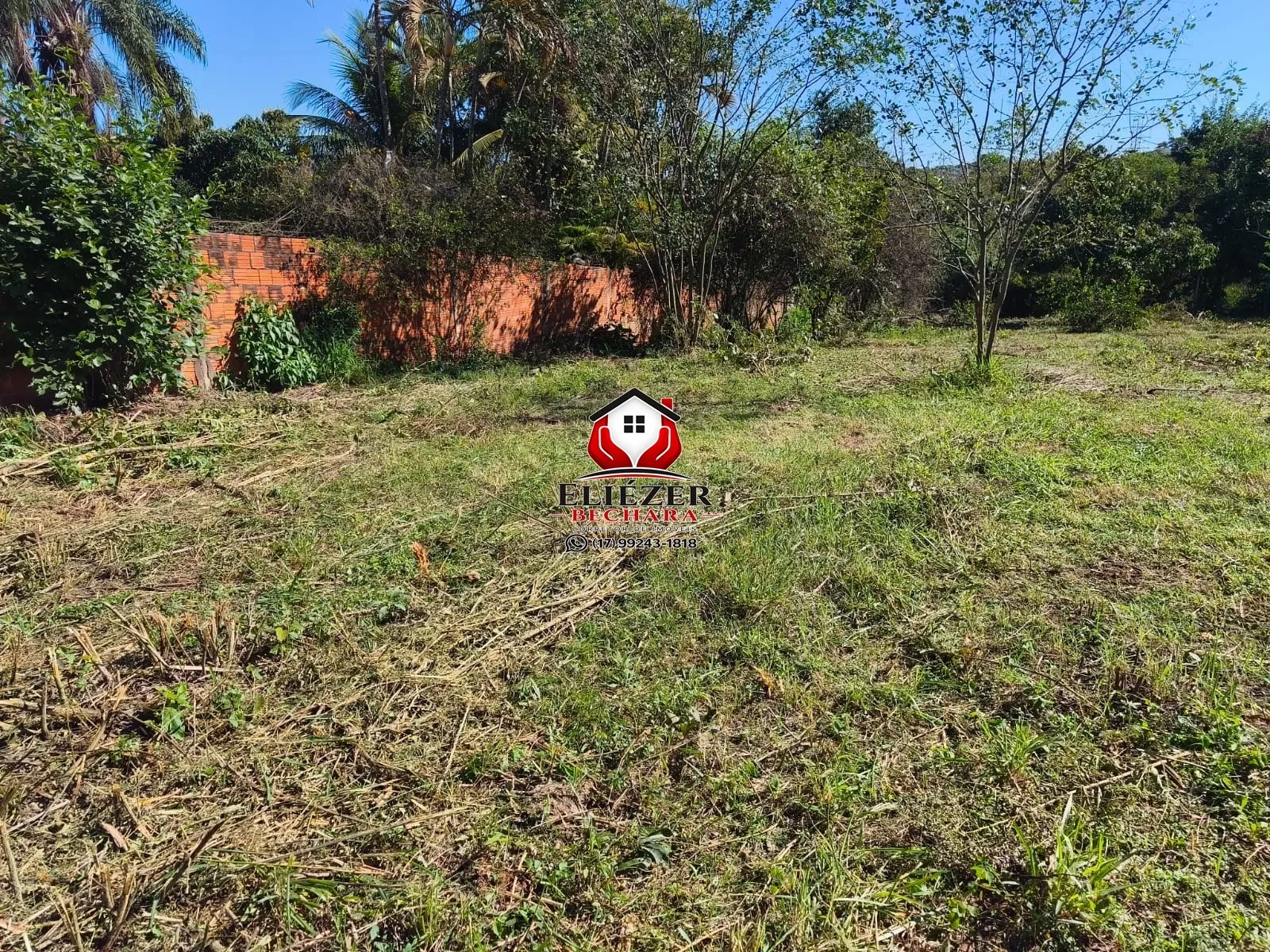 Fazenda / Sítio / Chácara à venda, 1500m² — foto 3 de 5