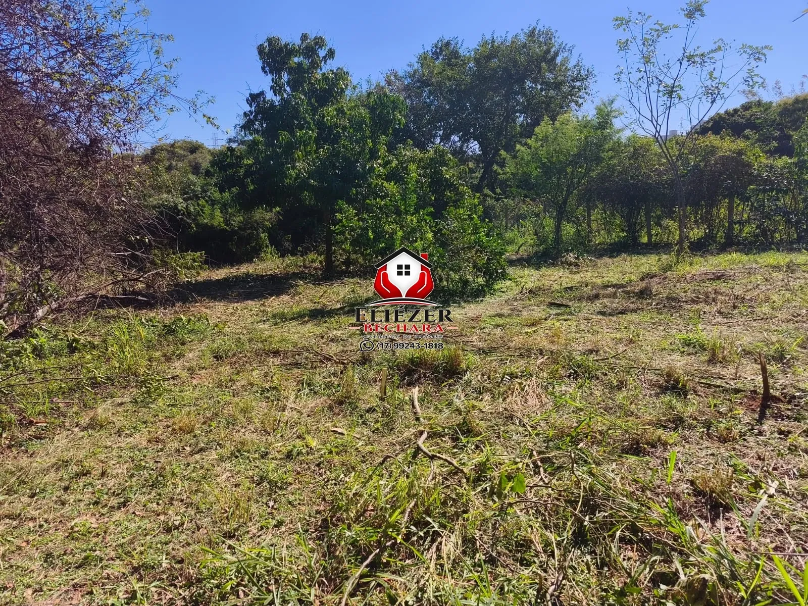 Fazenda / Sítio / Chácara à venda, 1500m² — foto 2 de 5