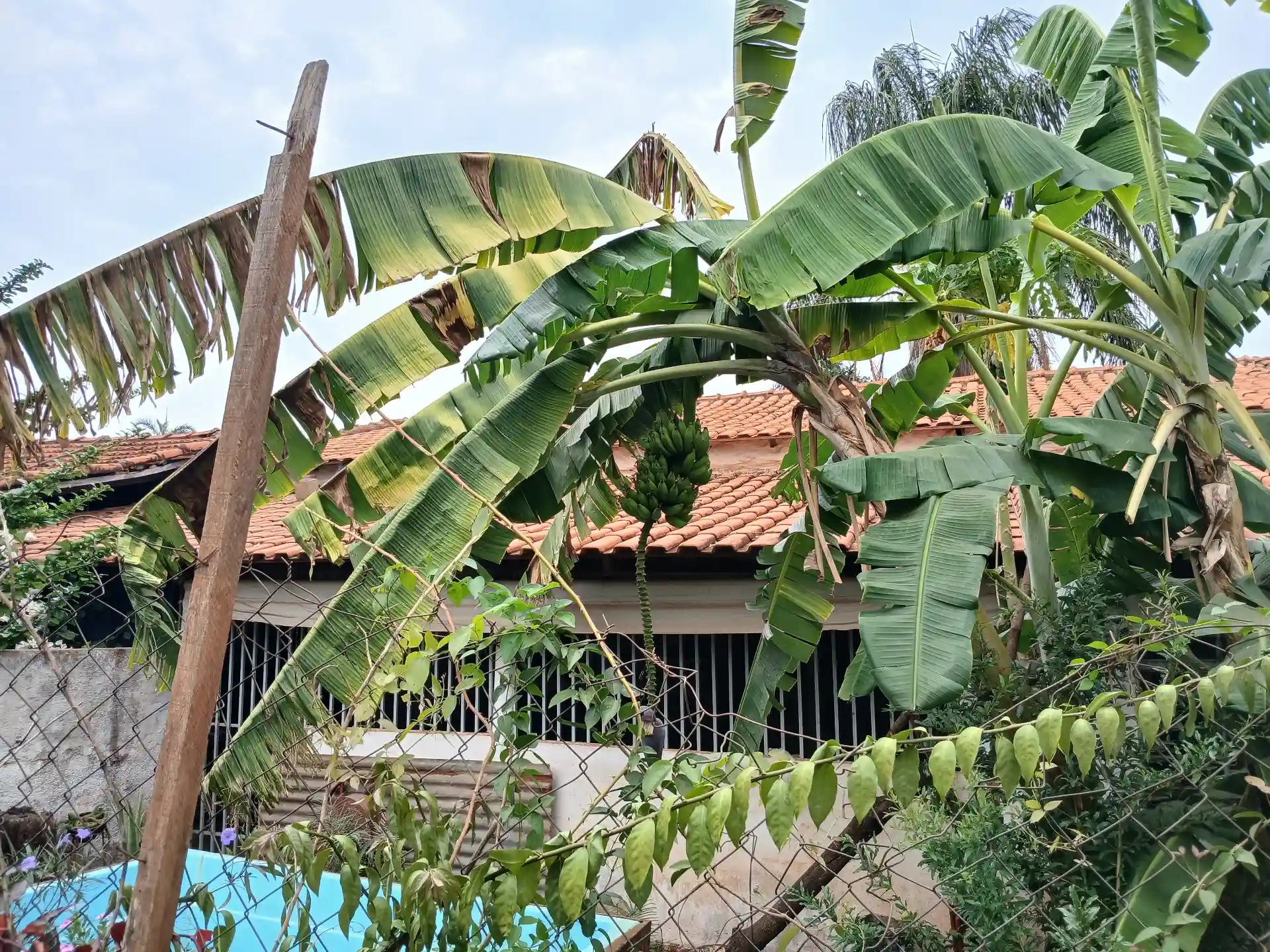 Fazenda / Sítio / Chácara com 3 quartos à venda, 1000m² — foto 1 de 10