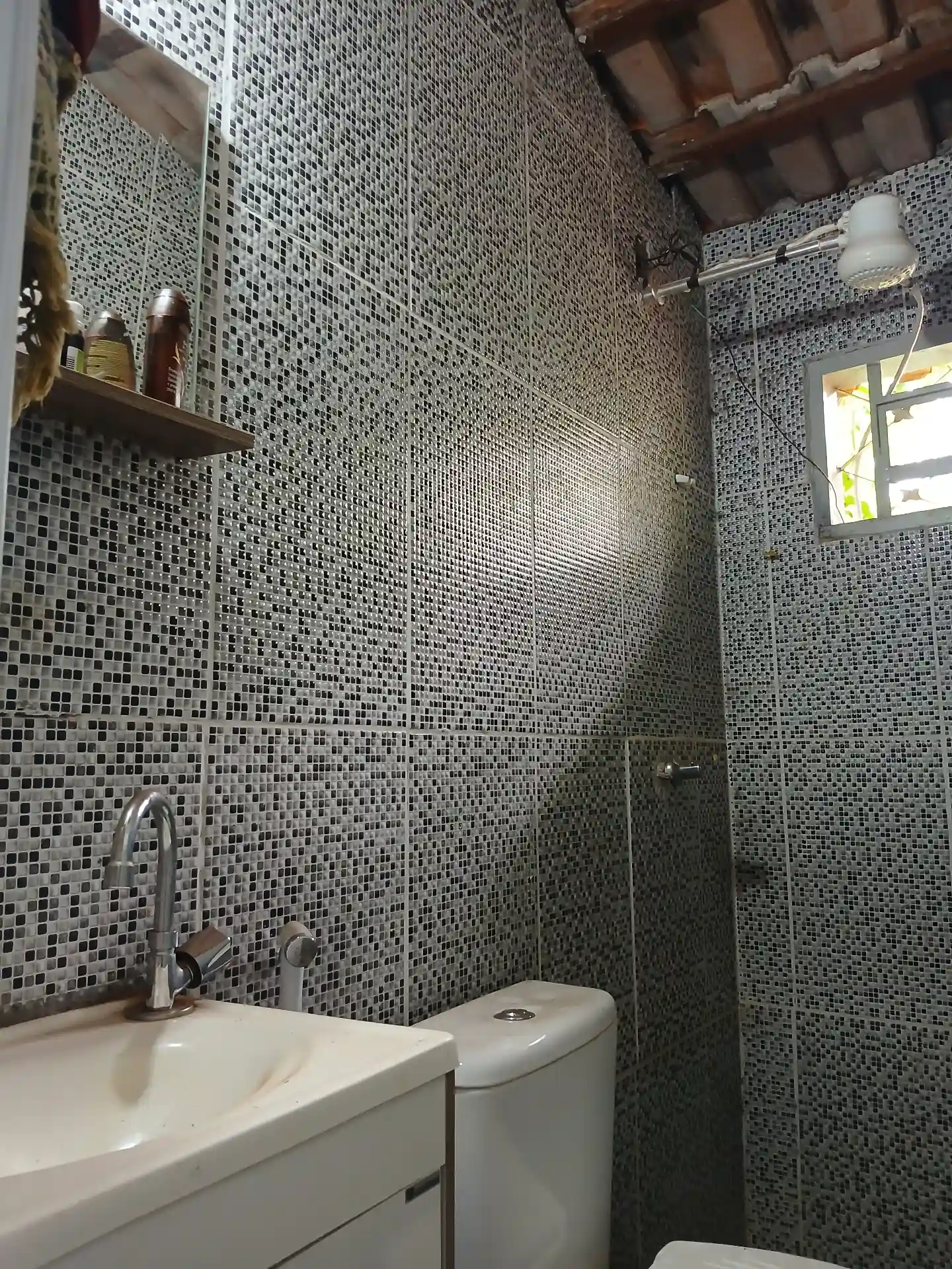 Fazenda / Sítio / Chácara com 3 quartos à venda, 1000m² — foto 3 de 10