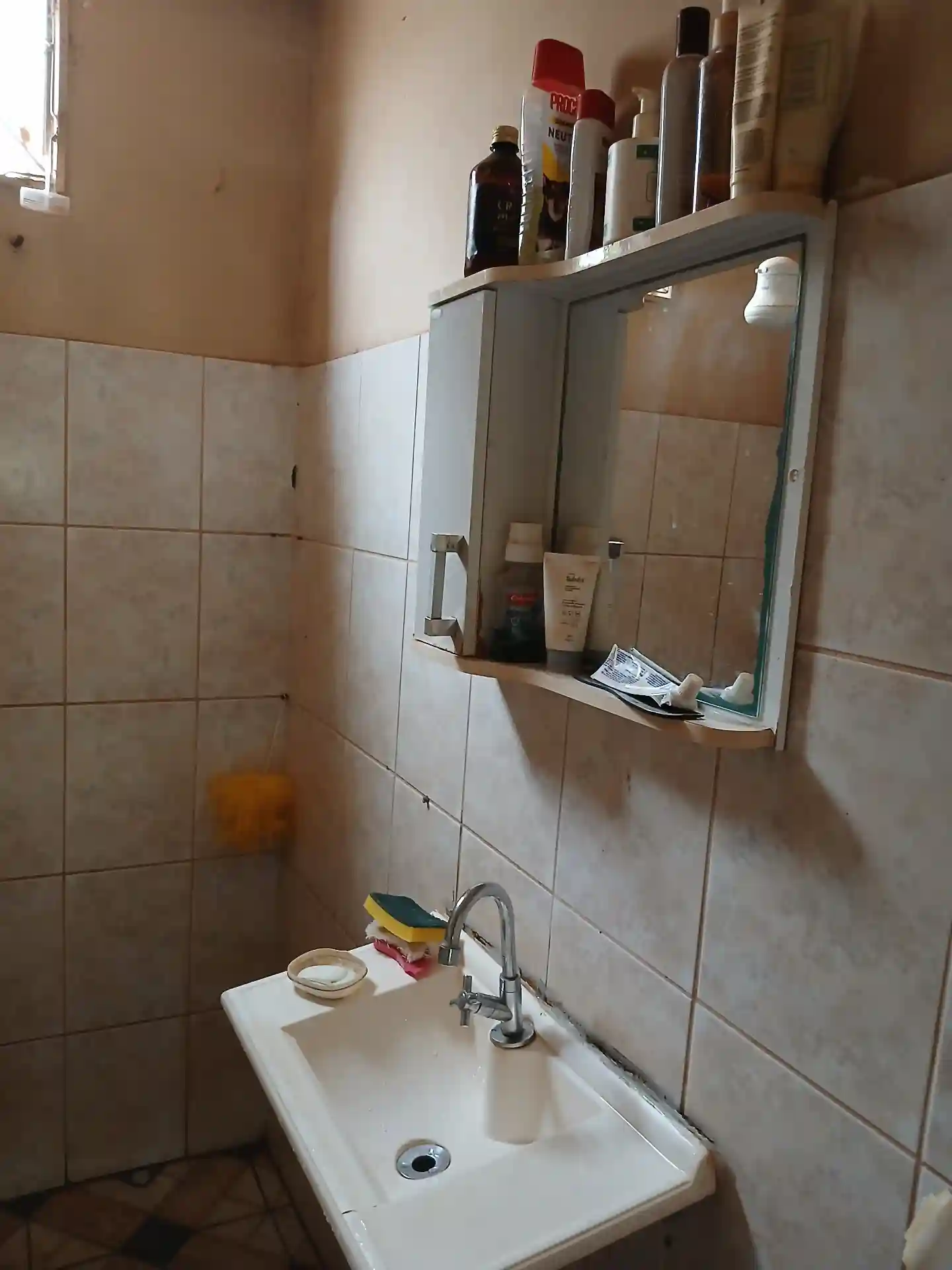 Fazenda / Sítio / Chácara com 3 quartos à venda, 1000m² — foto 4 de 10
