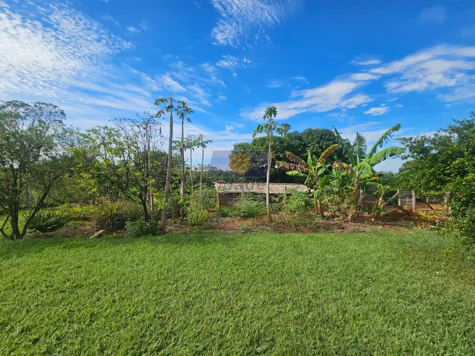Fazenda / Sítio / Chácara com 3 quartos à venda, 5030m² — foto 17 de 22