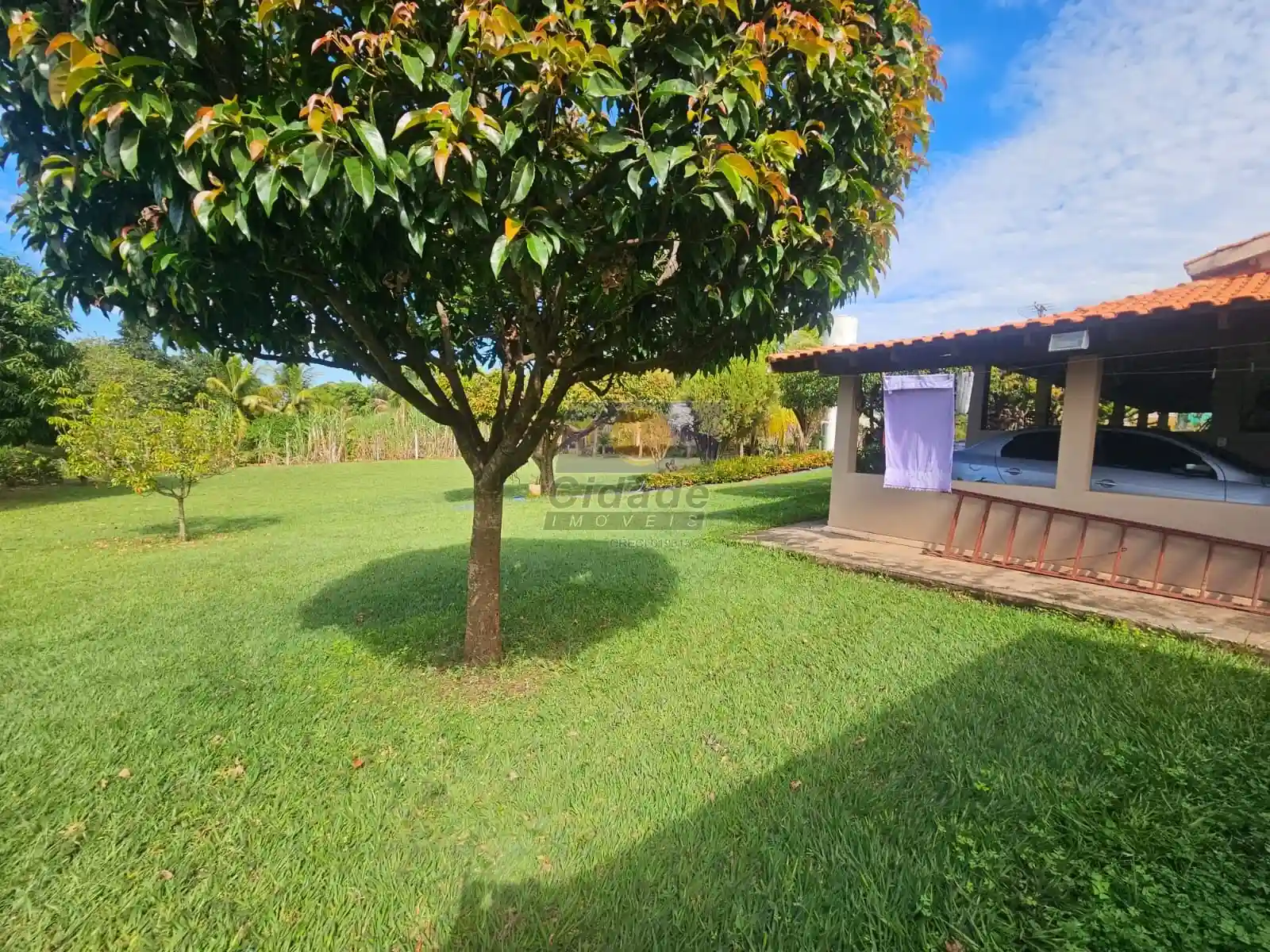 Fazenda / Sítio / Chácara com 3 quartos à venda, 5030m² — foto 3 de 22