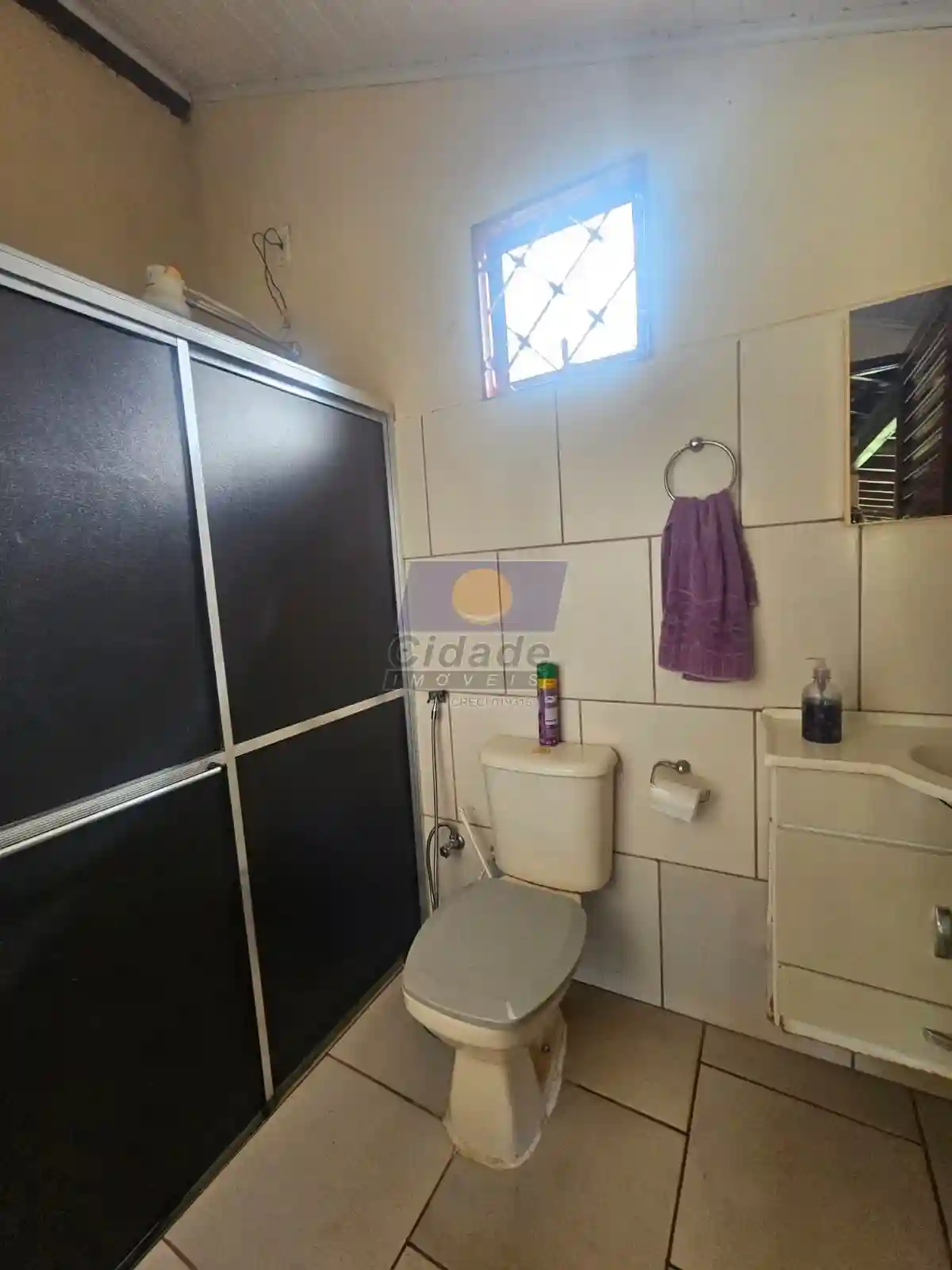 Fazenda / Sítio / Chácara com 3 quartos à venda, 5030m² — foto 13 de 22