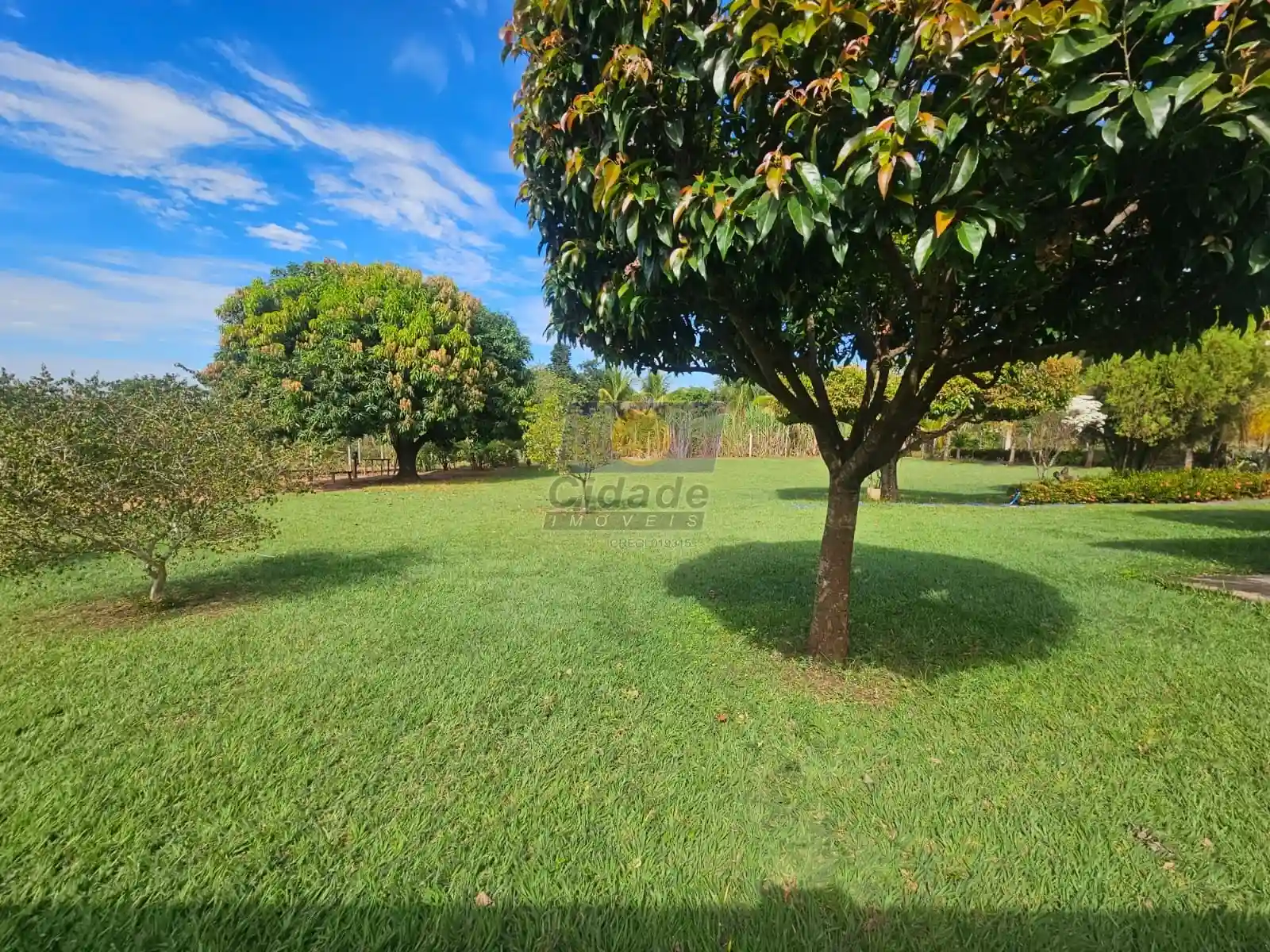 Fazenda / Sítio / Chácara com 3 quartos à venda, 5030m² — foto 18 de 22